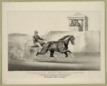 Celebrated horse Dexter, The king of the world LCCN90714354