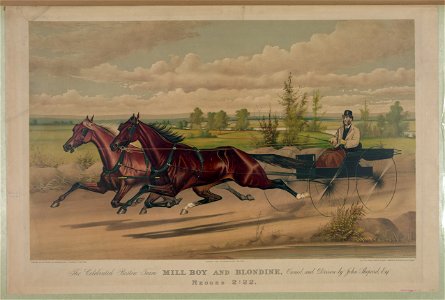 Celebrated Boston team mill boy and Blondine, owned and driven by John Shepard, esq- record 2-22 LCCN90714351