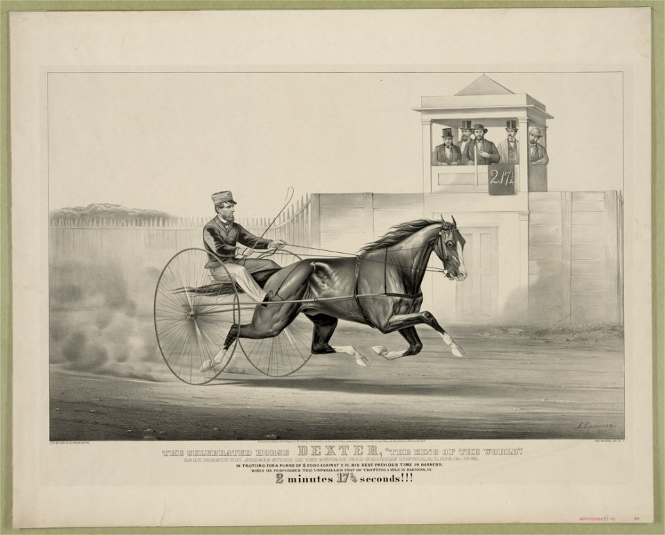 Celebrated horse Dexter, The king of the world LCCN90714354