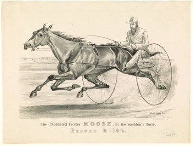 Celebrated trotter Moose, by the Washburn horse- Record 2-191-2 LCCN90714363. Free illustration for personal and commercial use.