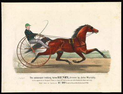 Celebrated trotting horse Henry, driven by John Murphy- As he appeared at Prospect Park, L.I. June 27th 1872, in his trot with Goldsmith Maid and Lucy LCCN90714379