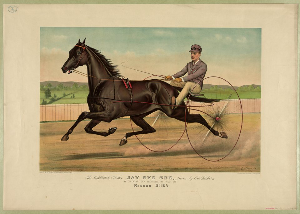 Celebrated trotter Jay Eye See, driven by Ed. Bithers- By Dictator, dam Midnight, by Pilot Jr. LCCN90714361