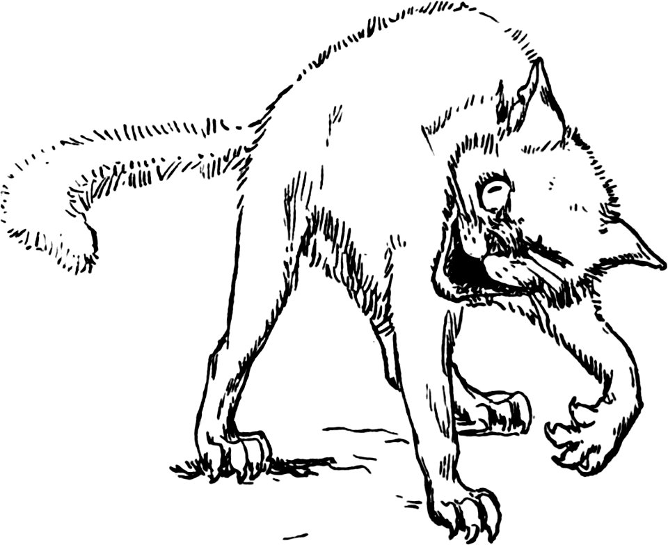 Celtic Fairy Tales-1892-062