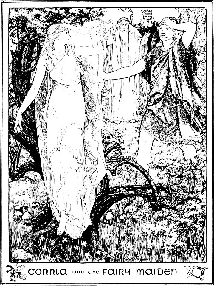Celtic Fairy Tales-1892-0023