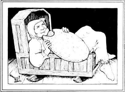 Celtic Fairy Tales-1892-193