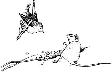 Celtic Fairy Tales-1892-236-1