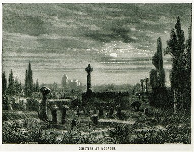 Cemetery at Mogador - Ainsworth William Francis - 1870