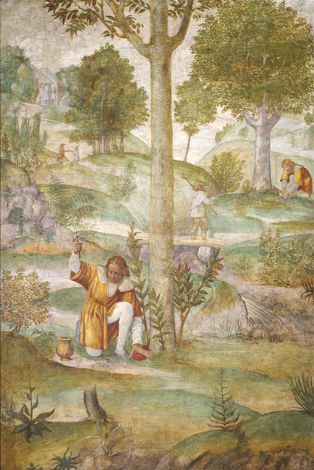 Cephalus Hiding the Jewels sc440