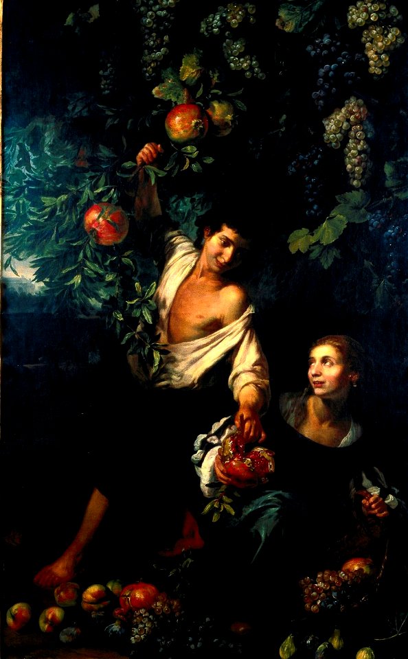 Michelangelo Cerquozzi - Harvest of pomegranates