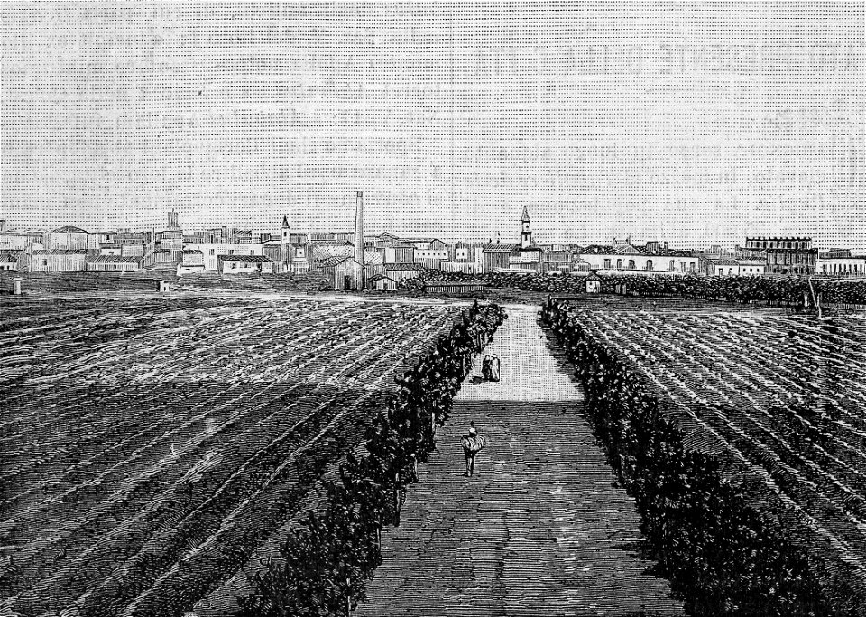 Cerignola – Panorama (xilografia)