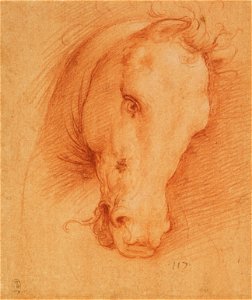 Cesare da Sesto - RCIN 990057, A horse's head c. 1510-15