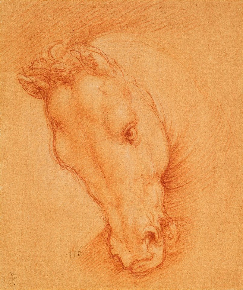 Cesare da Sesto - RCIN 990058, A horse's head c. 1510-15