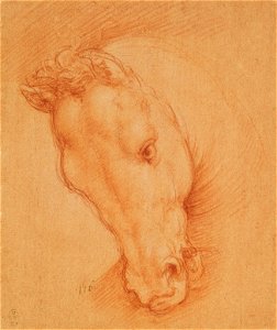 Cesare da Sesto - RCIN 990058, A horse's head c. 1510-15