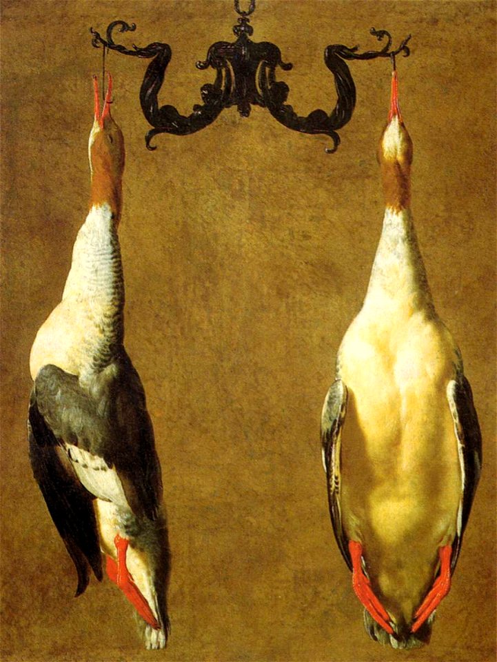 Cesare Dandini - Two Hanged Teals - WGA5904