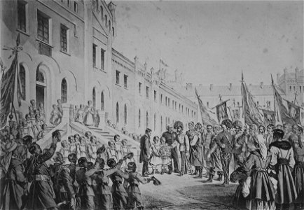 Cesarz w Drohowyżu 1880 (Aleksander Raczyński)