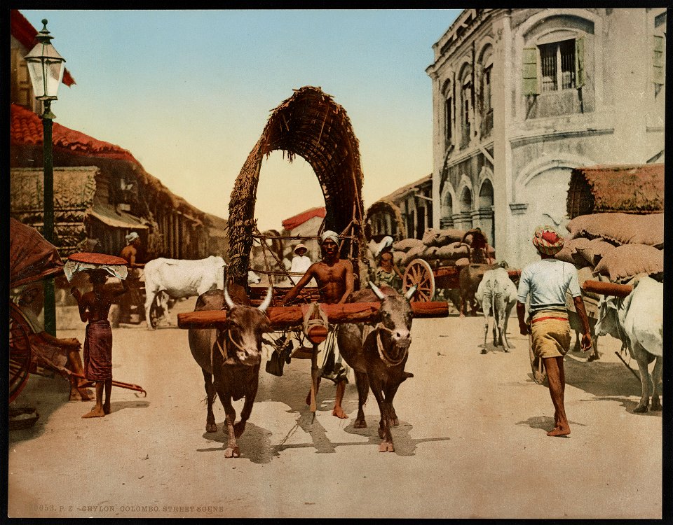 Ceylon. Colombo. Street Scene LCCN2017657635