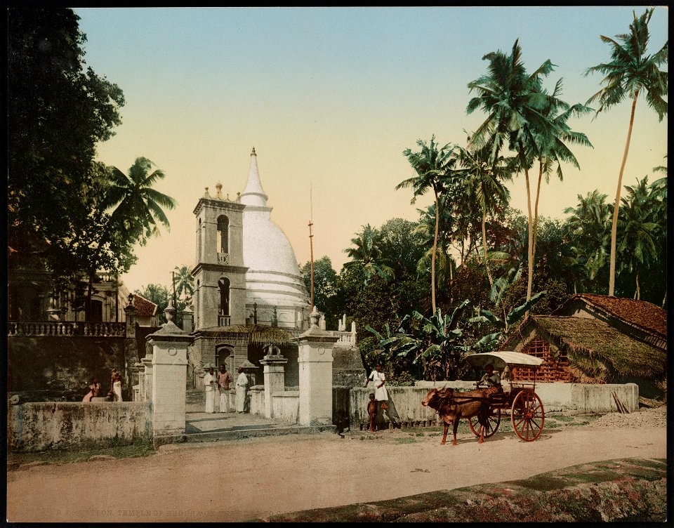 Ceylon. Temple of Buddha on the Road to Gall LCCN2017657634