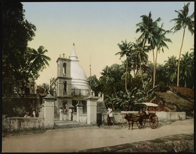 Ceylon. Temple of Buddha on the Road to Gall LCCN2017657634