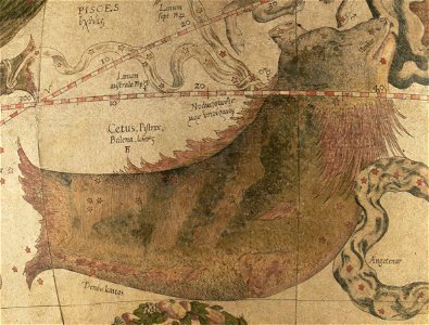 Cetus - Mercator