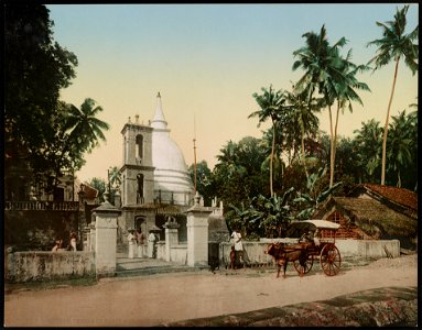 Ceylon. Temple of Buddha on the Road to Gall LCCN2017657634