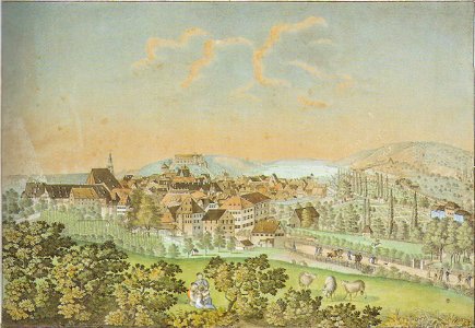 CF Baumann - Tübingen vom Österberg, kol. Lithographie ca1830 Inv.1616 (SW045)