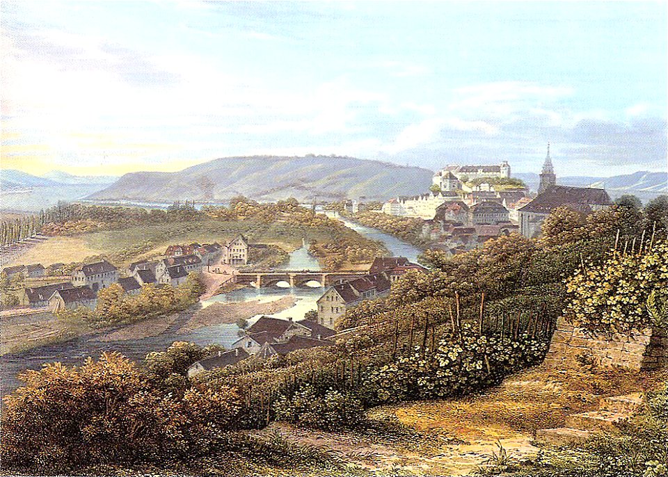 CF Baumann - Tübingen und Neckartal vom Österberg (kol Stahlstich E Grünewald), ca1840 Inv,3245 (SW067)