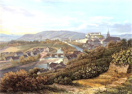 CF Baumann - Tübingen und Neckartal vom Österberg (kol Stahlstich E Grünewald), ca1840 Inv,3245 (SW067)