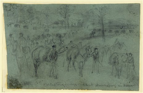 Collecting forage. Escort skirmishing n. Harrison LCCN2004660222