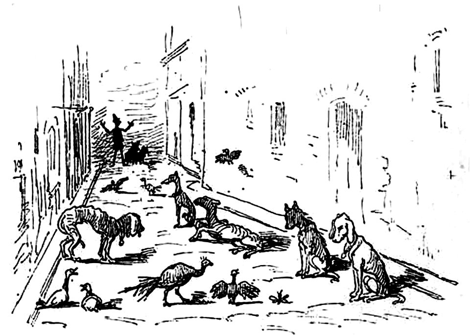 Collodi - Le avventure di Pinocchio, Bemporad, 1892 (page 91 crop)