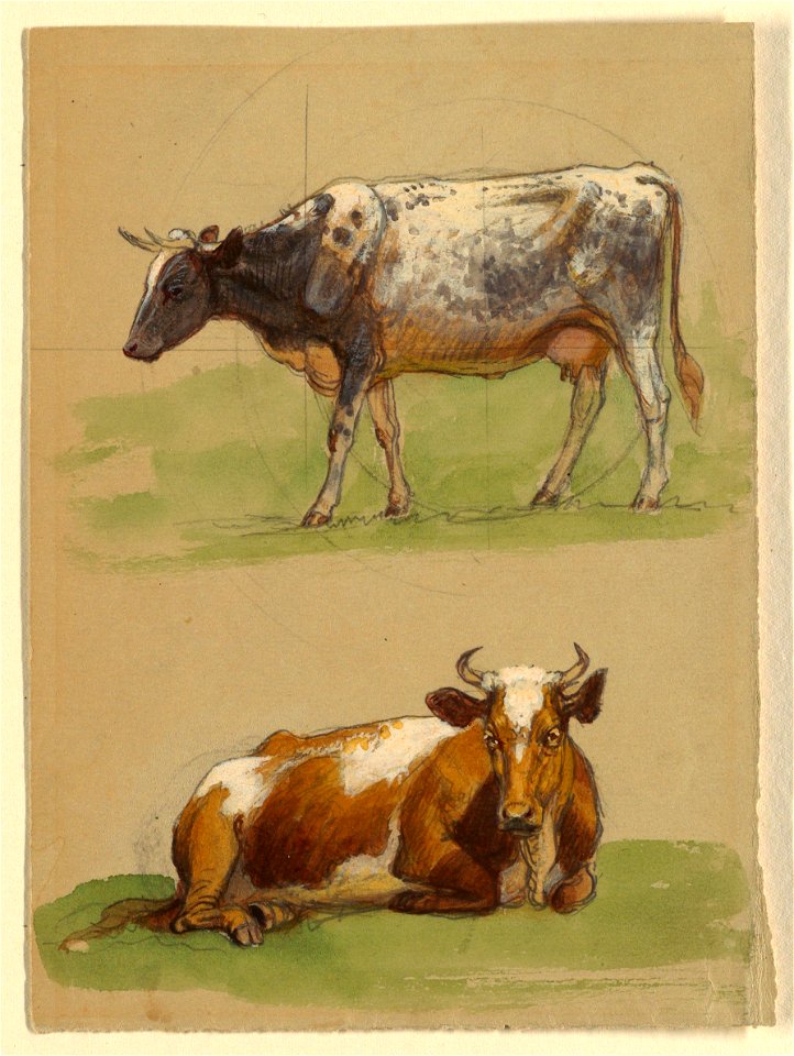 Drawing, Cattle, a Cow Walking and a Cow Crouching, 1875–80 (CH 18369139)