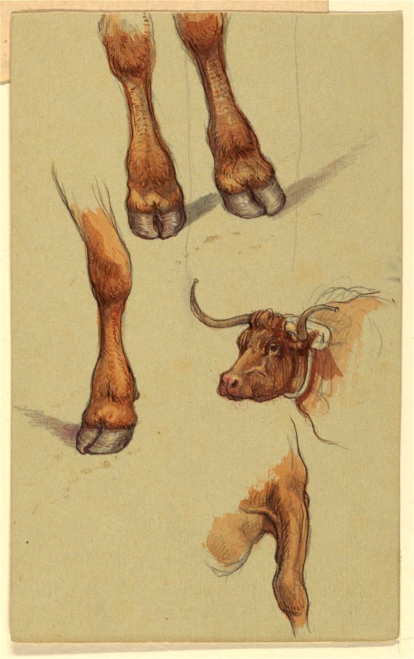 Drawing, Sketches from Narragensett, Rhode Island., 1871 (CH 18368981)