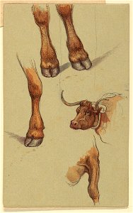 Drawing, Sketches from Narragensett, Rhode Island., 1871 (CH 18368981)
