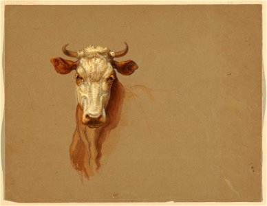 Drawing, Two studies. Cattle, 1876 (CH 18368965)