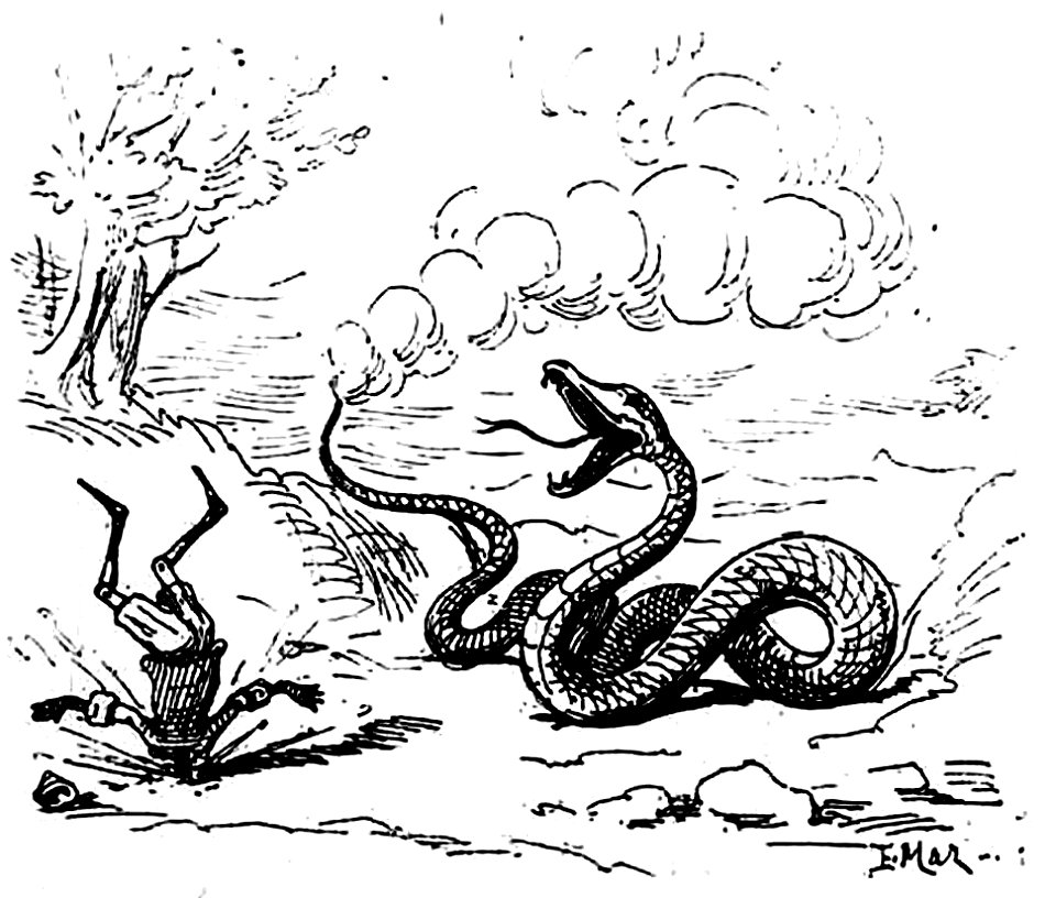 Collodi - Le avventure di Pinocchio, Bemporad, 1892 (page 102 crop)