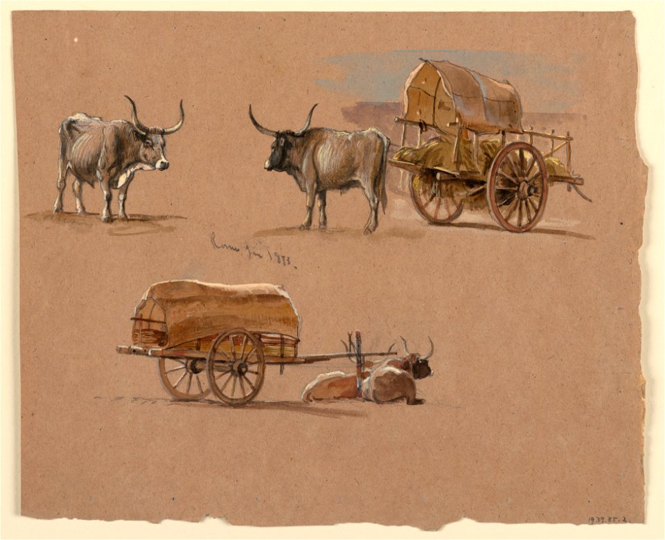 Drawing, Oxcarts, Rome, Italy, January 1873 (CH 18368983)