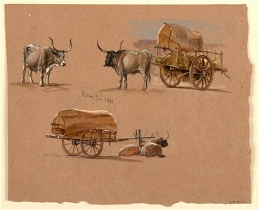 Drawing, Oxcarts, Rome, Italy, January 1873 (CH 18368983)
