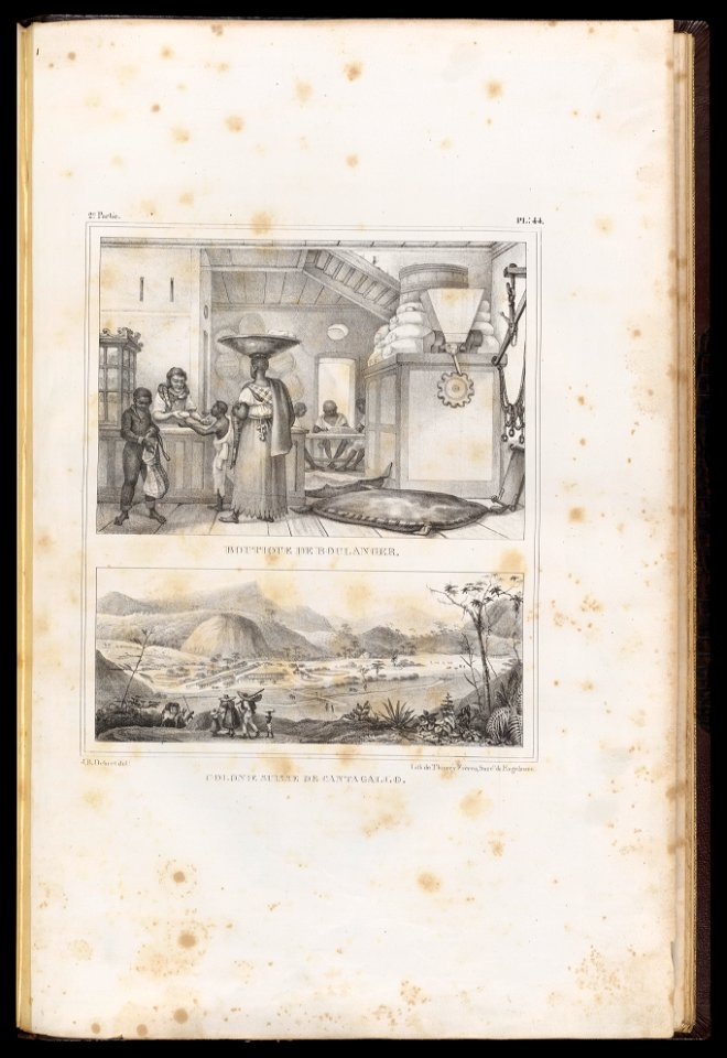 Colonie Suisse de Cantagallo (1), da Coleção Brasiliana Iconográfica