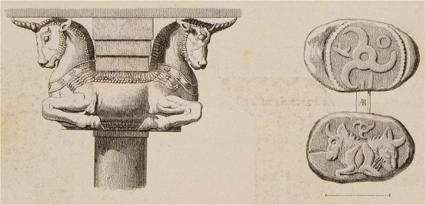 Column capital from Persepolis Coin from Cilicia, showing a bull - Cockerell Charles Robert & Kinnard William & Donaldson Thomas Leverton & Jenkins William & Railton William - 1830