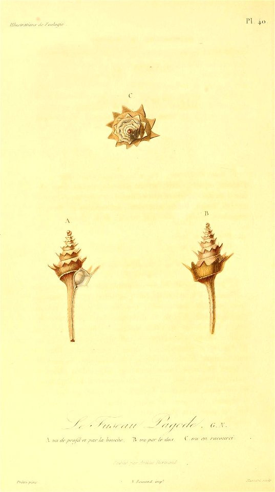 Columbarium pagoda pagoda 1831