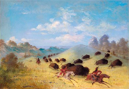Comanche Indians Chasing Buffalo with Lances and Bows. Free illustration for personal and commercial use.