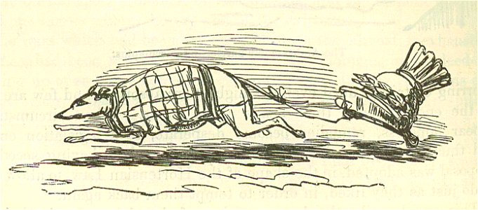 Comic History of Rome p 134 Tail-piece