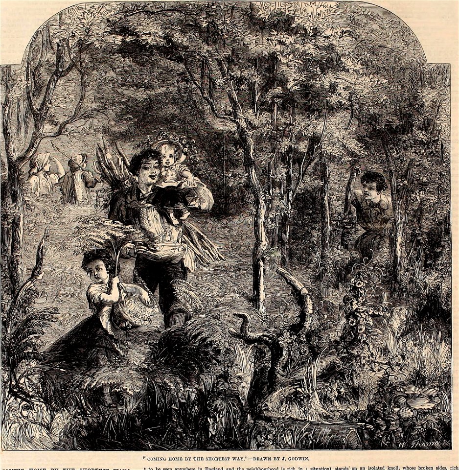 Coming Home by the Shortest Way - ILN 1861