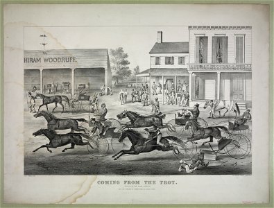 Coming from the trot- Sports on the home stretch LCCN90716204