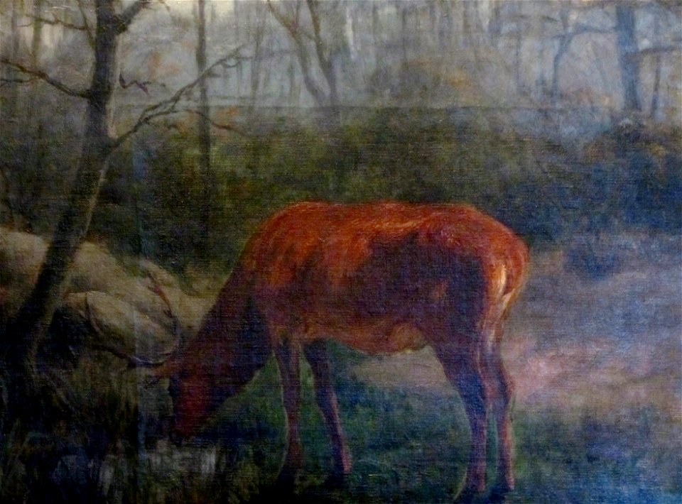 Bonheur, Rosa - Venado -ost MMBAV fRF02