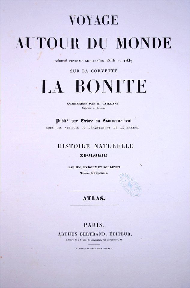 Bonite-atlas-zoologie