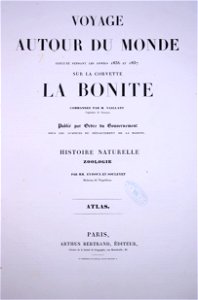 Bonite-atlas-zoologie