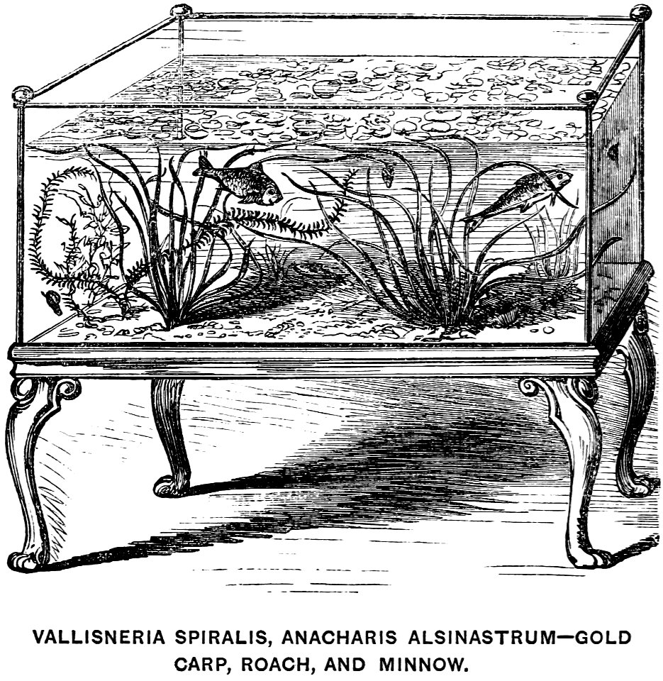 Book of Aquarium-0023