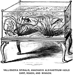Book of Aquarium-0023