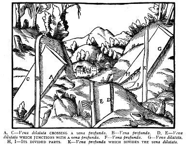 Book3-27
