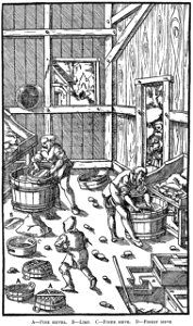 Book8-31